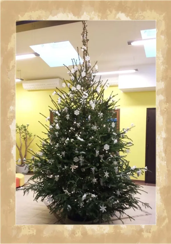 Eglītes stāsts - baltās ziemas meža pasaka