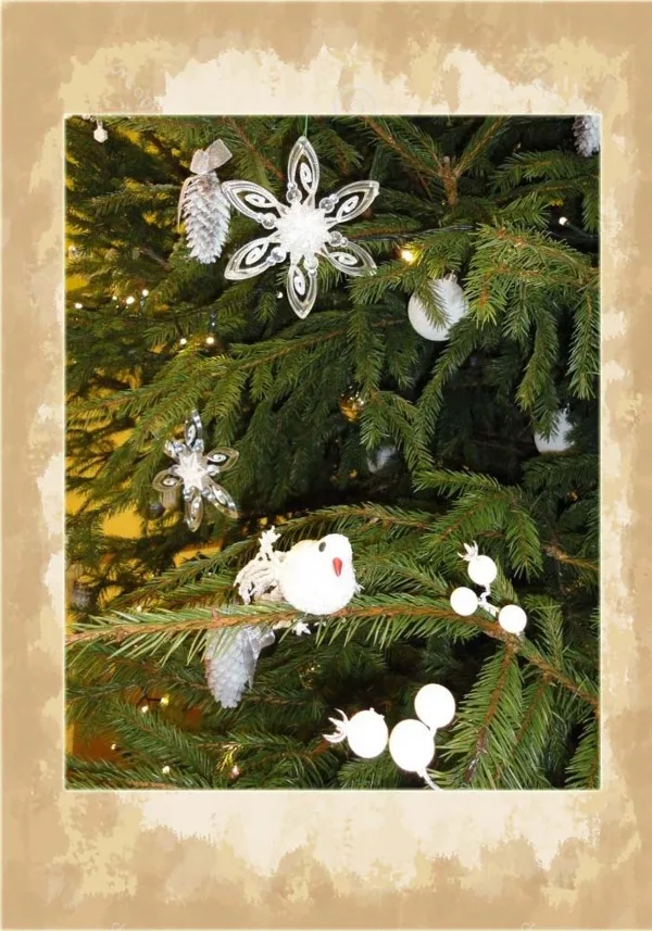Eglītes stāsts - baltās ziemas meža pasaka