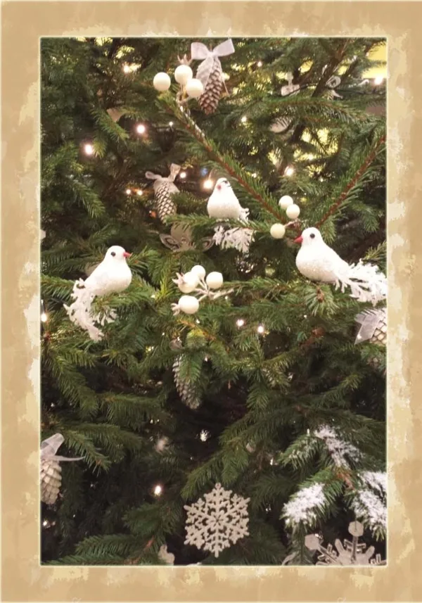 Eglītes stāsts - baltās ziemas meža pasaka