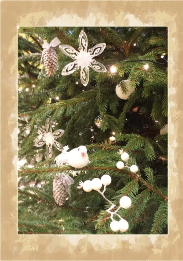 Eglītes stāsts - baltās ziemas meža pasaka